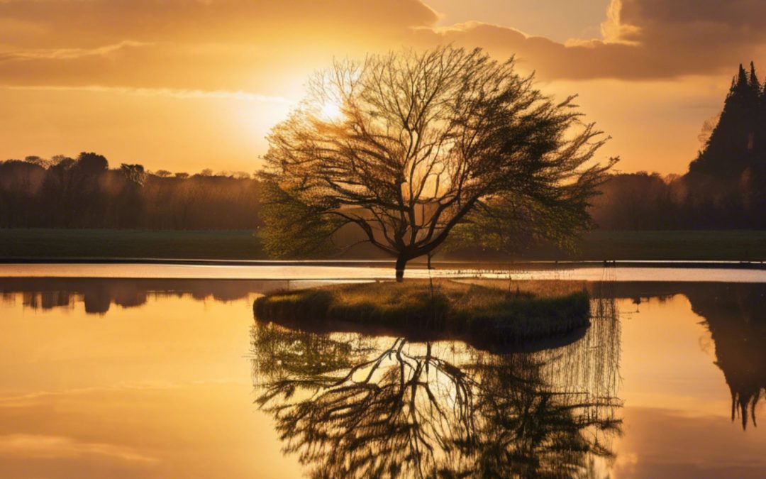 Lent: A Time to Renew, Reflect, and Refocus