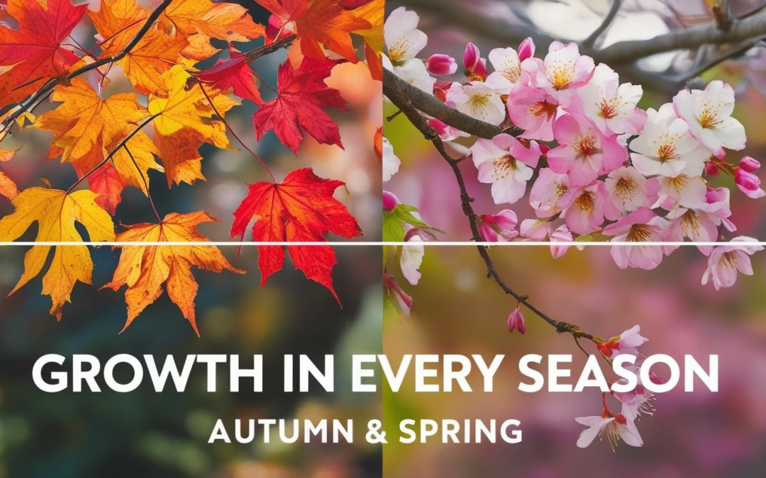 Growth in Every Season: What Autumn and Spring Teach Us About Faith