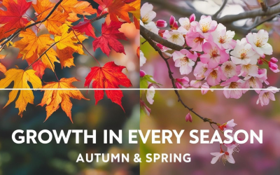 Growth in Every Season: What Autumn and Spring Teach Us About Faith